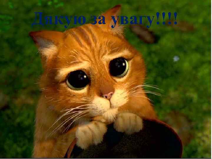 Дякую за увагу!!!! 