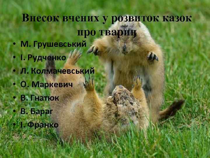 Внесок вчених у розвиток казок про тварин • • М. Грушевський І. Рудченко Л.