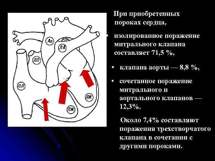 Неревматические поражения митрального клапана