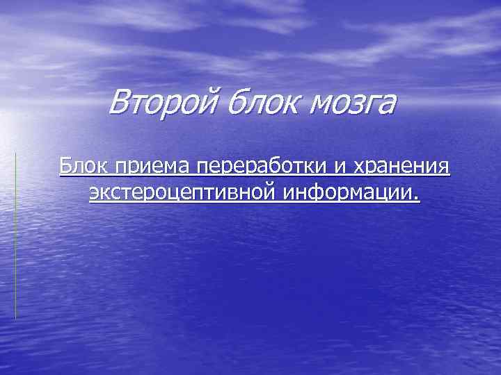 Второй блок мозга Блок приема переработки и хранения экстероцептивной информации. 