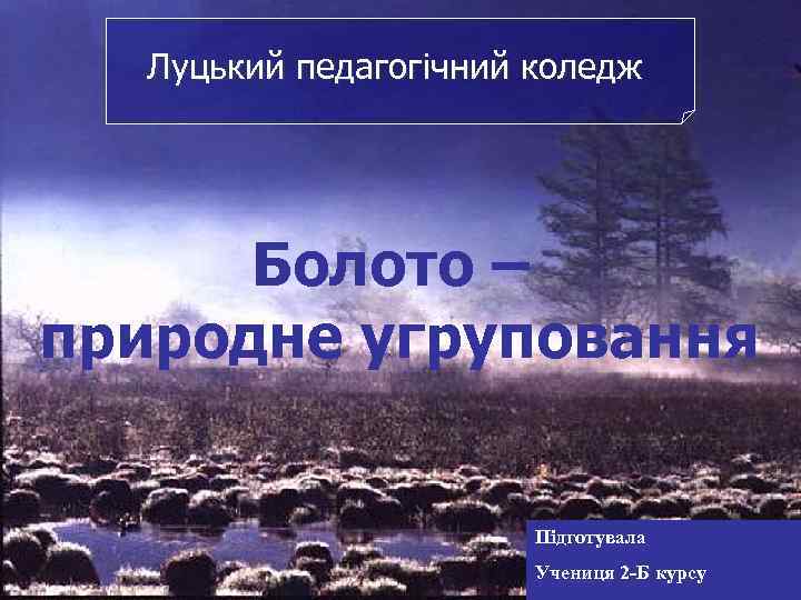 Луцький педагогічний коледж Болото – природне угруповання Підготувала Учениця 2 -Б курсу 