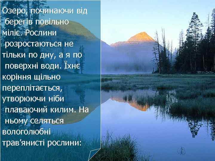 Озеро, починаючи від берегів повільно міліє. Рослини розростаються не тільки по дну, а я