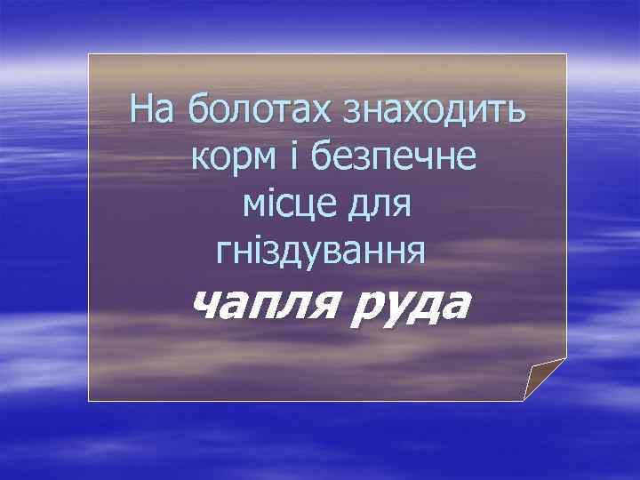 На болотах знаходить корм і безпечне місце для гніздування чапля руда 