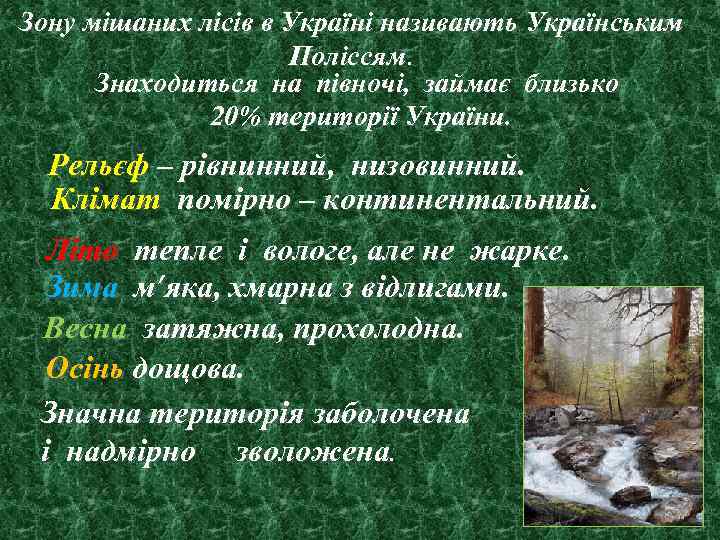 Зону мішаних лісів в Україні називають Українським Поліссям Знаходиться на півночі, займає близько 20%