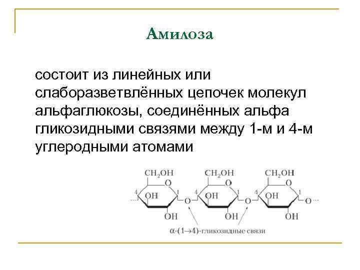 Амилоза состоит из линейных или слаборазветвлённых цепочек молекул альфаглюкозы, соединённых альфа гликозидными связями между