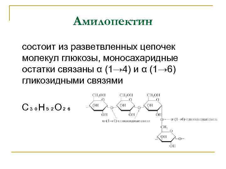 Амилопектин состоит из разветвленных цепочек молекул глюкозы, моносахаридные остатки связаны α (1→ 4) и