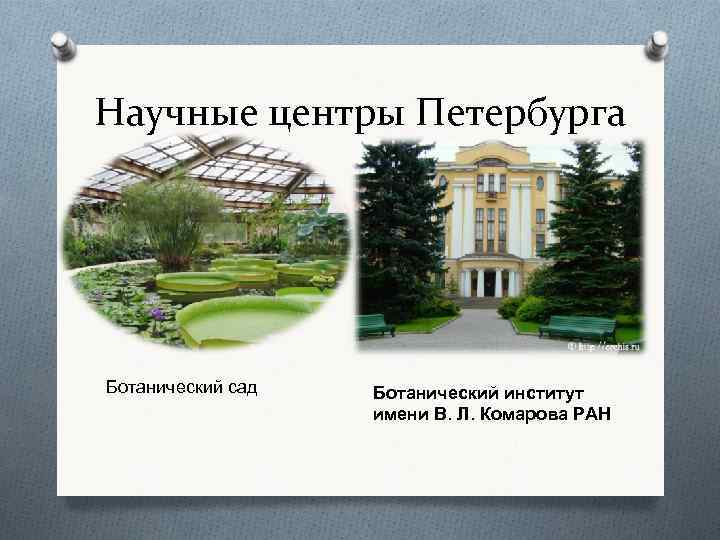 Научные центры Петербурга Ботанический сад Ботанический институт имени В. Л. Комарова РАН 