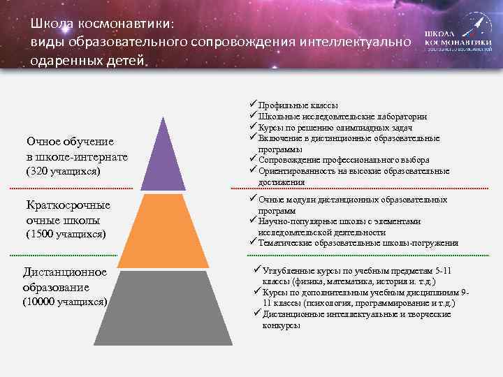 Школа космонавтики: виды образовательного сопровождения интеллектуально одаренных детей Очное обучение в школе-интернате (320 учащихся)