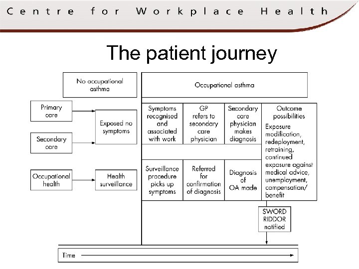 The patient journey TIME 