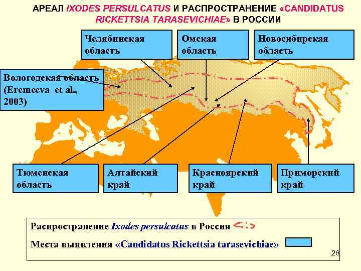 АРЕАЛ IXODES PERSULCATUS И РАСПРОСТРАНЕНИЕ «CANDIDATUS RICKETTSIA TARASEVICHIAE» В РОССИИ Челябинская область Омская область