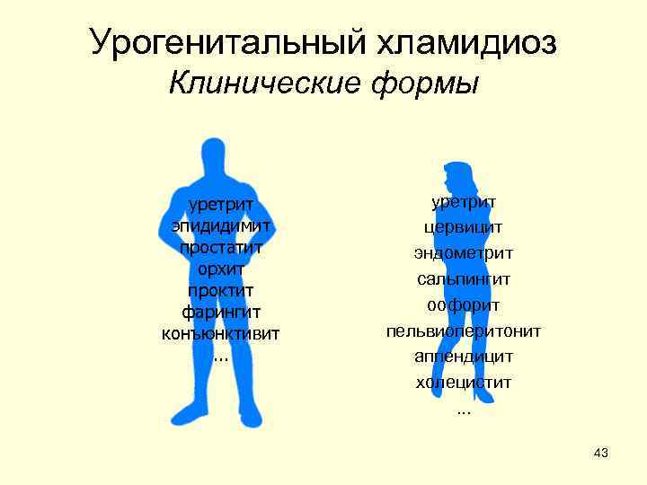 Формы хламидиоза. Хламидиоз клинические формы. Урогенитальный хламидиоз. Урогенитальный хламидиоз клиническая картина. Урогенитальный хламидиоз у женщин.