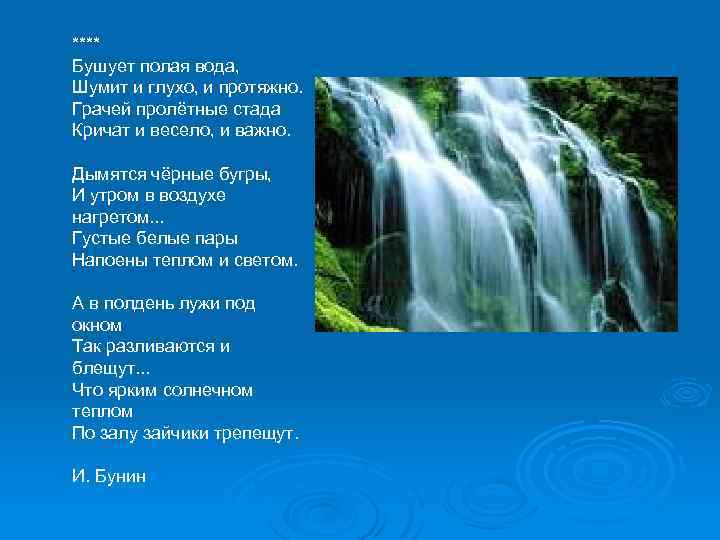 **** Бушует полая вода, Шумит и глухо, и протяжно. Грачей пролётные стада Кричат и