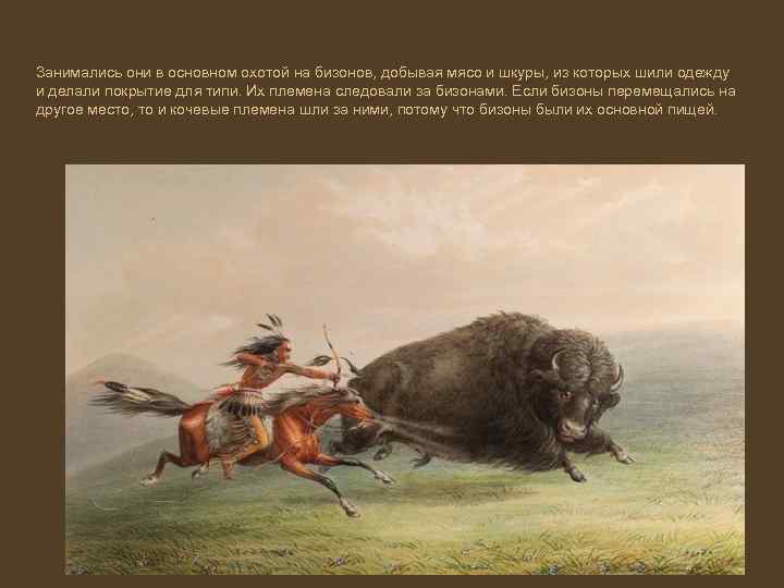 Занимались они в основном охотой на бизонов, добывая мясо и шкуры, из которых шили