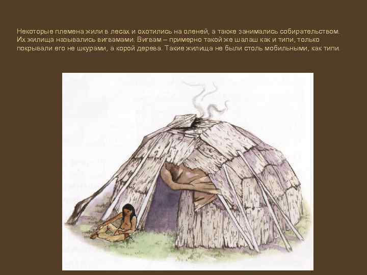 Некоторые племена жили в лесах и охотились на оленей, а также занимались собирательством. Их