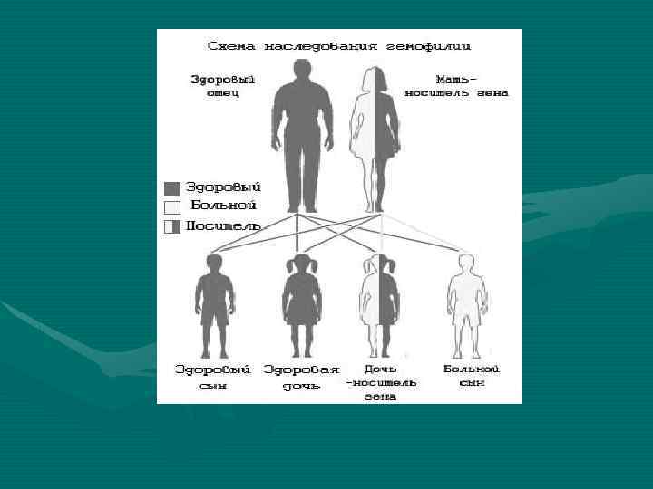 Как передается шизофрения по наследству по какой схеме по материнской линии