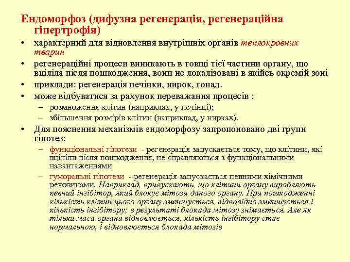 Ендоморфоз (дифузна регенерація, регенераційна гіпертрофія) • характерний для відновлення внутрішніх органів теплокровних тварин •