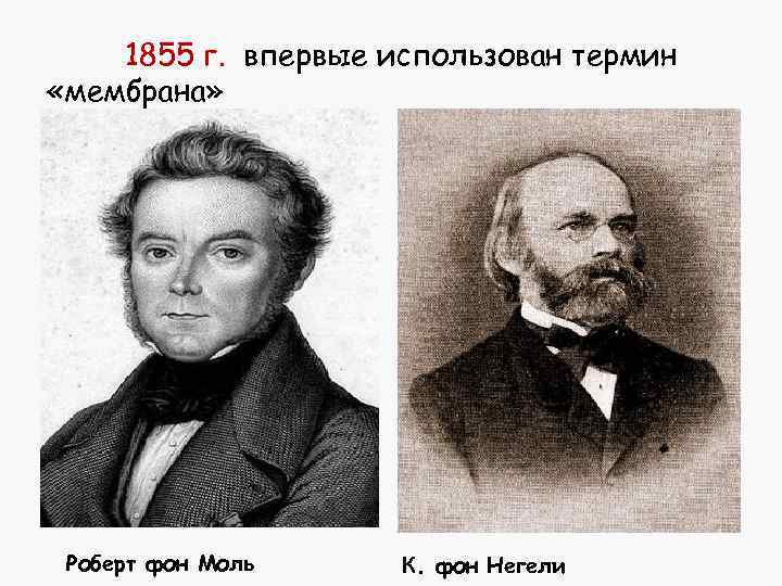 1855 г. впервые использован термин «мембрана» Роберт фон Моль К. фон Негели 