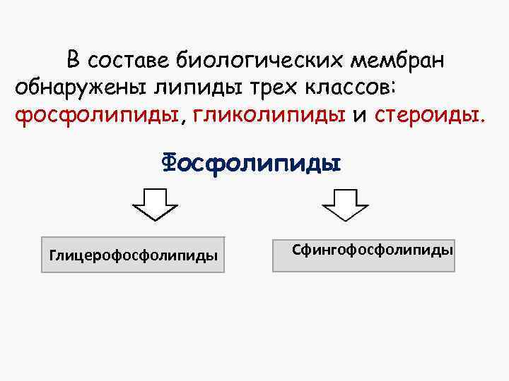 В составе биологических мембран обнаружены липиды трех классов: фосфолипиды, гликолипиды и стероиды. Фосфолипиды Глицерофосфолипиды