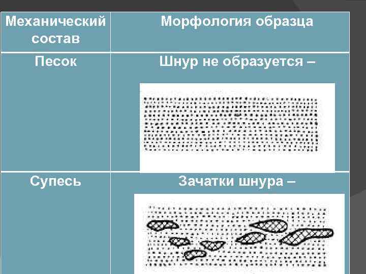 Механический состав Морфология образца Песок Шнур не образуется – Супесь Зачатки шнура – 