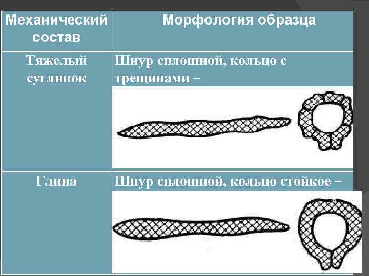 Механический состав Тяжелый суглинок Глина Морфология образца Шнур сплошной, кольцо с трещинами – Шнур