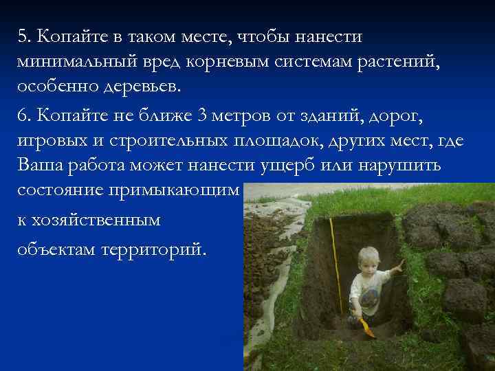 5. Копайте в таком месте, чтобы нанести минимальный вред корневым системам растений, особенно деревьев.