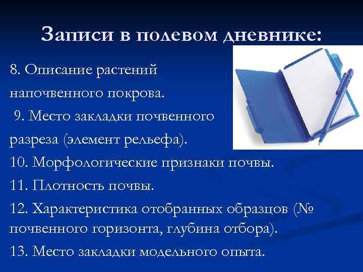 Записи в полевом дневнике: 8. Описание растений напочвенного покрова. 9. Место закладки почвенного разреза