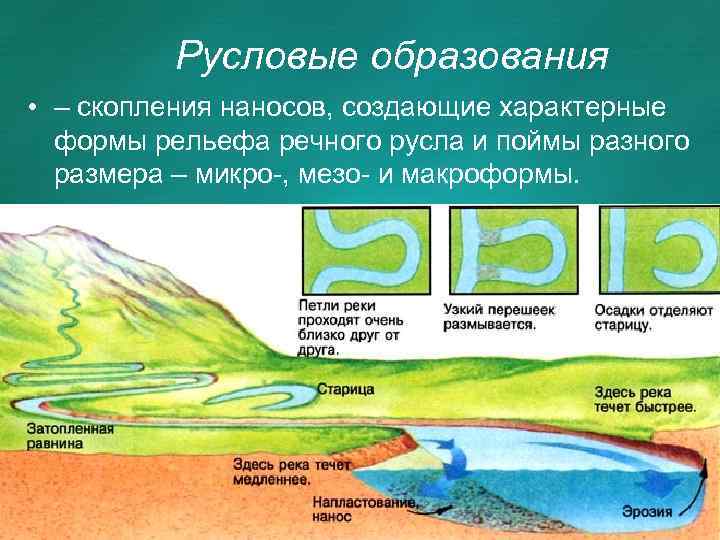 Русловые образования • – скопления наносов, создающие характерные формы рельефа речного русла и поймы