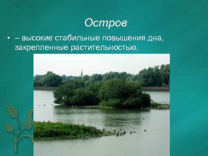 Остров • – высокие стабильные повышения дна, закрепленные растительностью. 