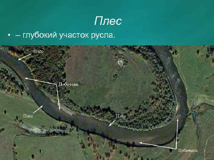 Плес • – глубокий участок русла. 