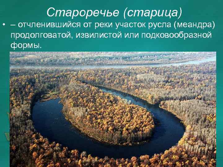 Староречье (старица) • – отчленившийся от реки участок русла (меандра) продолговатой, извилистой или подковообразной