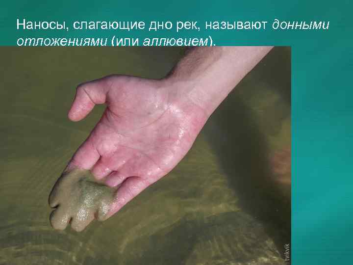 Наносы, слагающие дно рек, называют донными отложениями (или аллювием). 