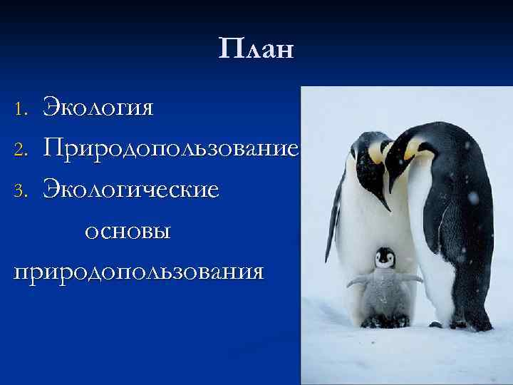 План Экология 2. Природопользование 3. Экологические основы природопользования 1. 