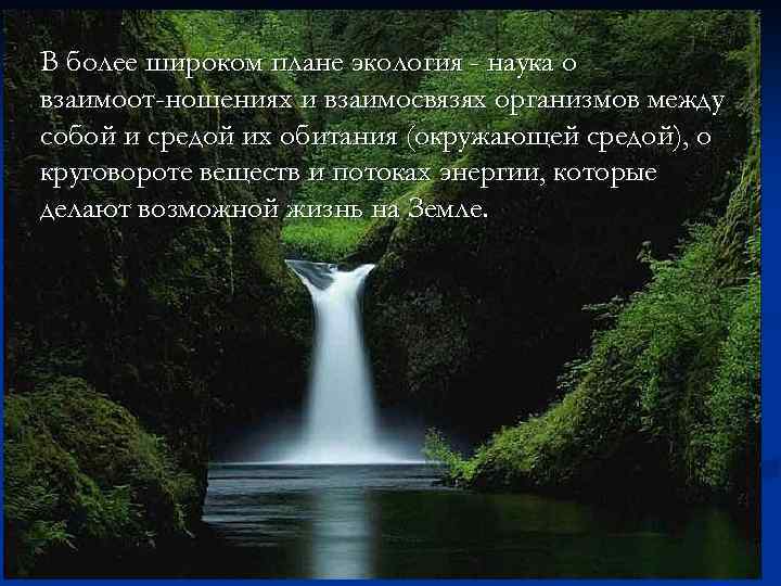 В более широком плане экология - наука о взаимоот ношениях и взаимосвязях организмов между