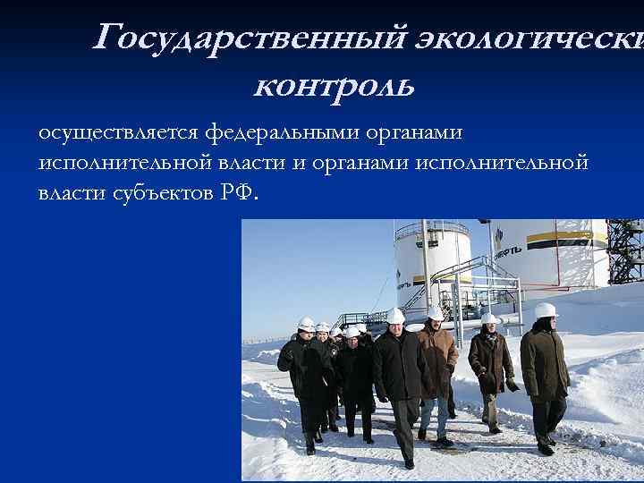 Государственный экологически контроль осуществляется федеральными органами исполнительной власти субъектов РФ. 