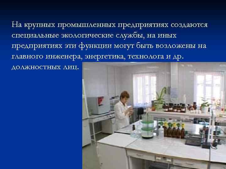 На крупных промышленных предприятиях создаются специальные экологические службы, на иных предприятиях эти функции могут
