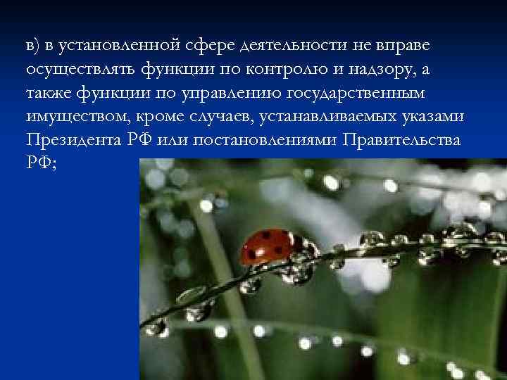 в) в установленной сфере деятельности не вправе осуществлять функции по контролю и надзору, а