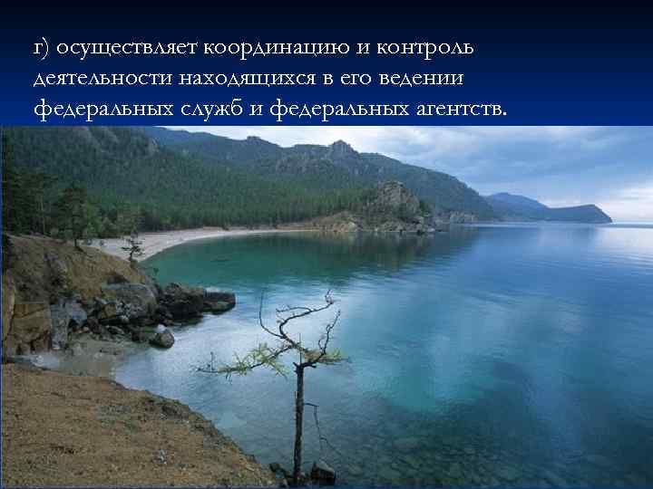 г) осуществляет координацию и контроль деятельности находящихся в его ведении федеральных служб и федеральных
