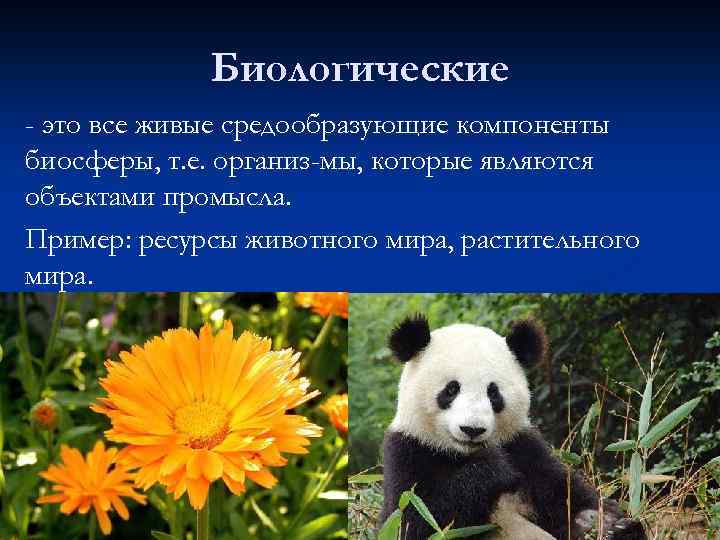 Биологические - это все живые средообразующие компоненты биосферы, т. е. организ мы, которые являются