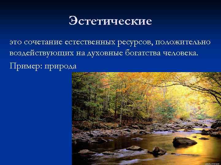 Эстетические это сочетание естественных ресурсов, положительно воздействующих на духовные богатства человека. Пример: природа 