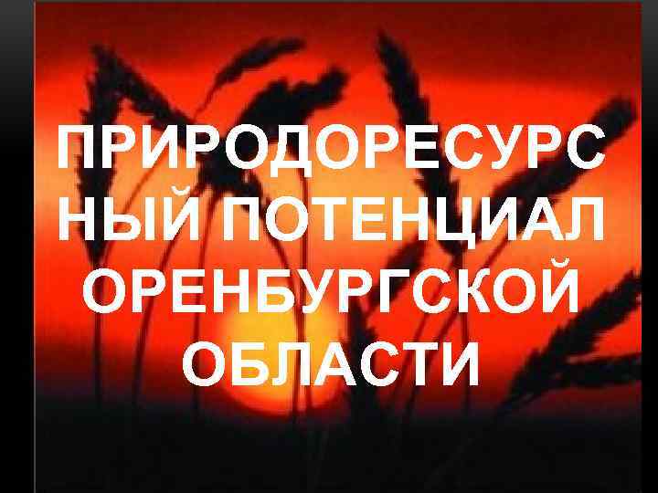 ПРИРОДОРЕСУРС НЫЙ ПОТЕНЦИАЛ ОРЕНБУРГСКОЙ ОБЛАСТИ 