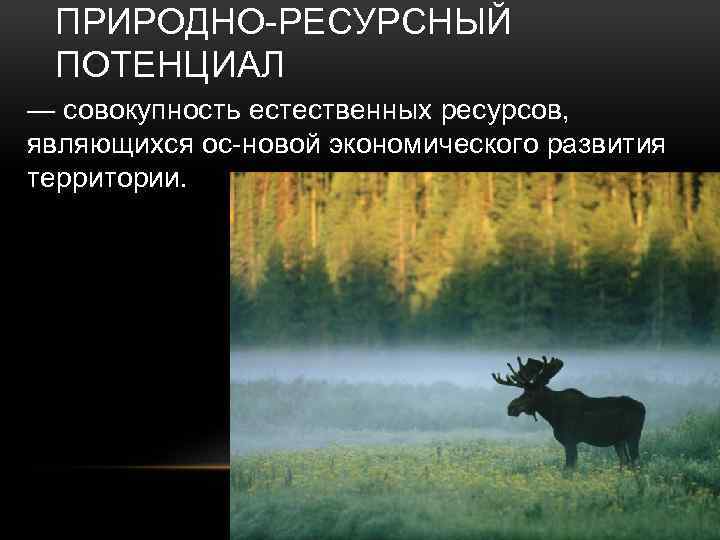 ПРИРОДНО РЕСУРСНЫЙ ПОТЕНЦИАЛ — совокупность естественных ресурсов, являющихся ос новой экономического развития территории. 