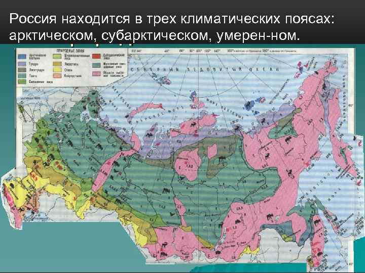 Россия находится в трех климатических поясах: арктическом, субарктическом, умерен ном. 