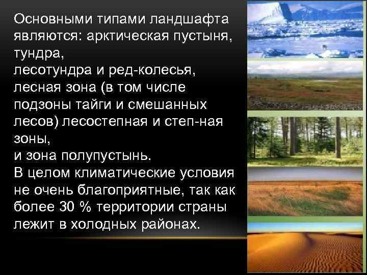 Смешанные леса природные ресурсы. Природные ресурсы лесотундры. Природные ресурсы тундры и лесотундры. Природно ресурсный потенциал лесотундры. Лесные природные ресурсы тундры.