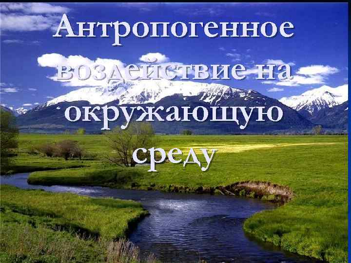 Антропогенное воздействие на окружающую среду 