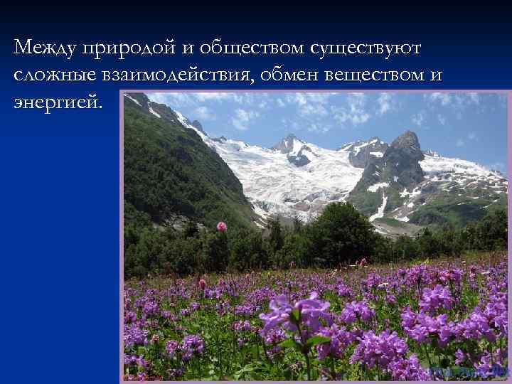 Между природой и обществом существуют сложные взаимодействия, обмен веществом и энергией. 