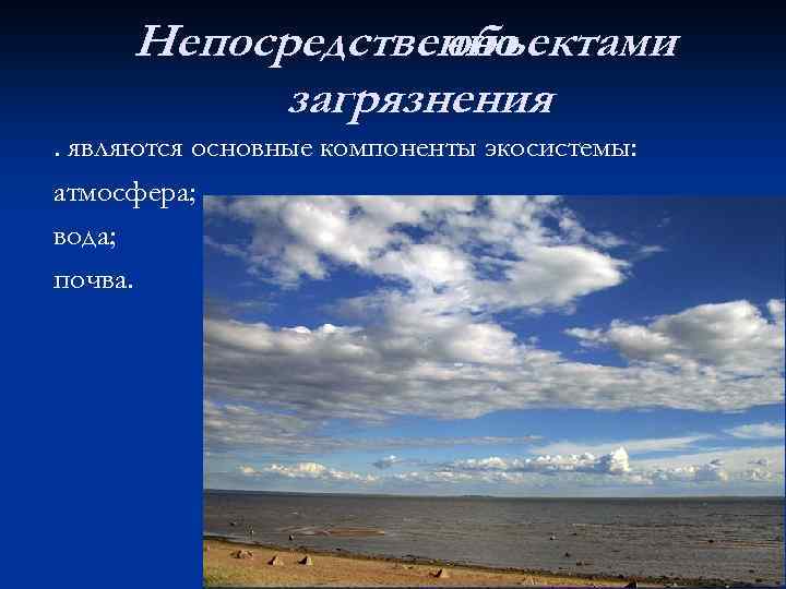 Непосредственно объектами загрязнения. являются основные компоненты экосистемы: атмосфера; вода; почва. 