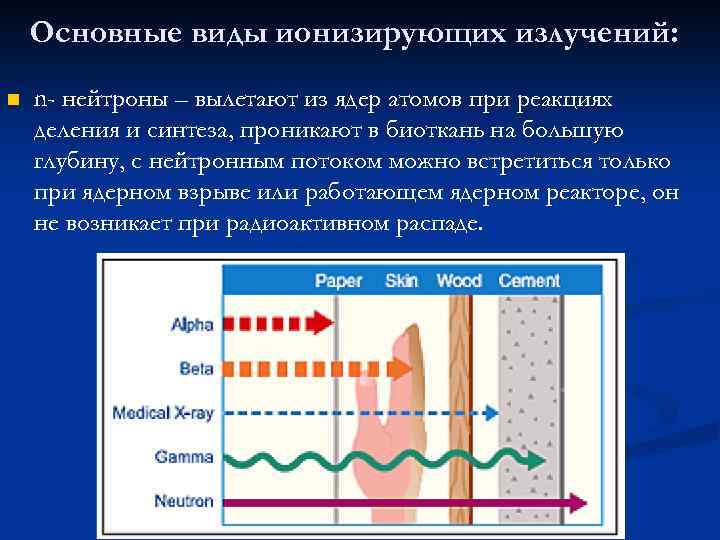 Основные виды ионизирующих излучений: n n- нейтроны – вылетают из ядер атомов при реакциях