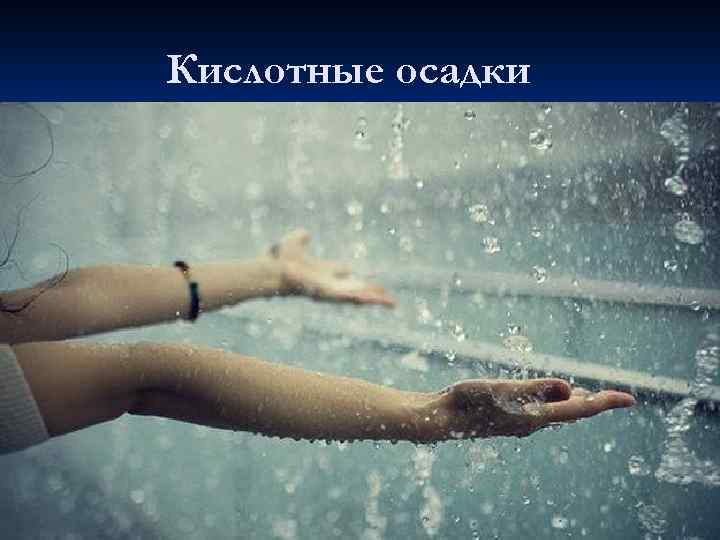 Кислотные осадки 