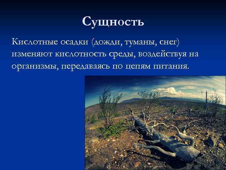 Сущность Кислотные осадки (дожди, туманы, снег) изменяют кислотность среды, воздействуя на организмы, передаваясь по