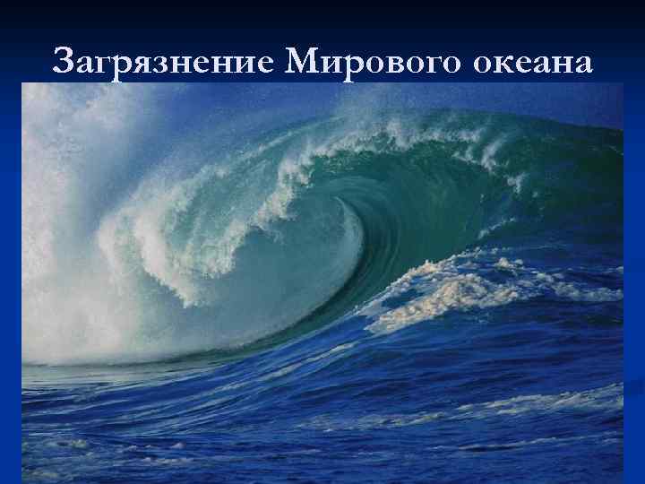 Загрязнение Мирового океана 